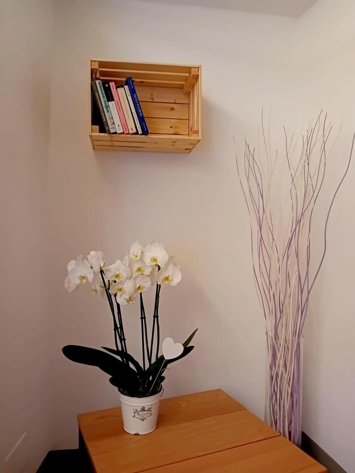 Casa Longhi Apartment ออร์ตาซันจูลิโอ ภายนอก รูปภาพ
